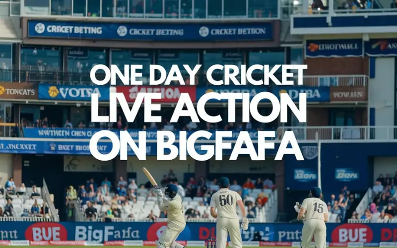 one day cricket